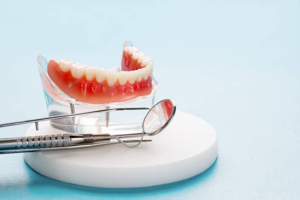 Best Preventive Dentistry  in Maple Lake, MN